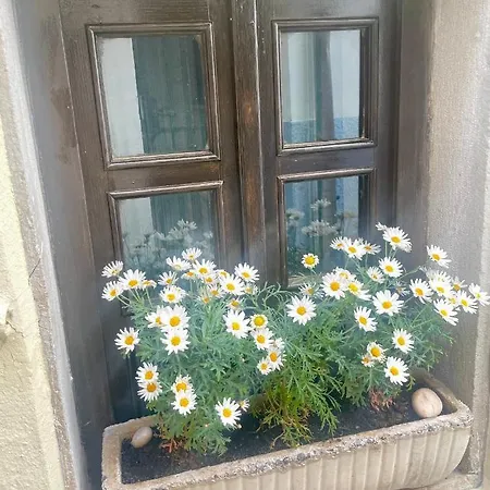 Apartmán Luna